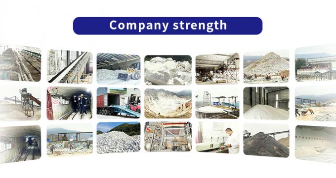 Guangdong XiMi New Material Technology Co., Ltd Fabrik Tour