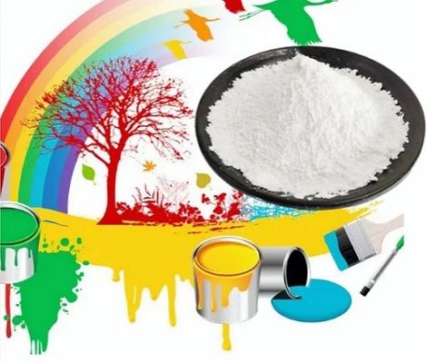 1250 Mesh Talc Raw Material CAS No 14807-96-6 White Powder