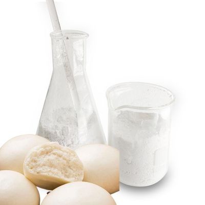 Nutritional Fortification Additive Calcium Carbonate Powder Food Grade Non Toxic